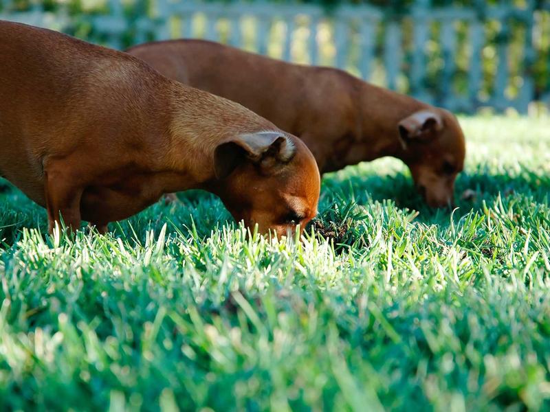 feedback screenshot 6